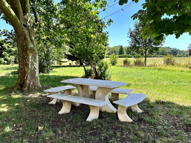 Table de pierre au jardin